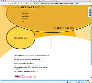 Electric Canvas - Home Page Image